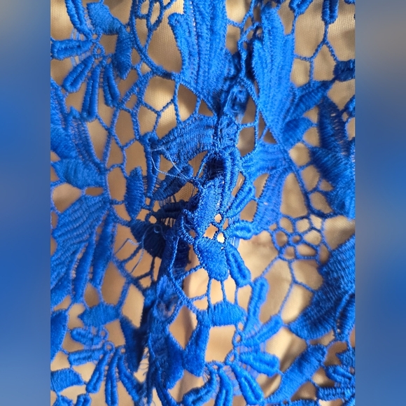 NWT! NSR,  Mia Lace Short Sleeve Open Back Midi Dress, Blue/Nude, Size S - Picture 11 of 11